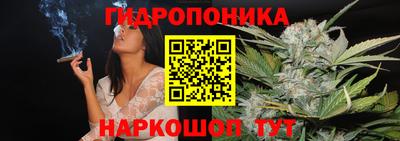 круглые Лесосибирск