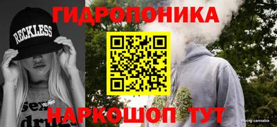 круглые Лесосибирск