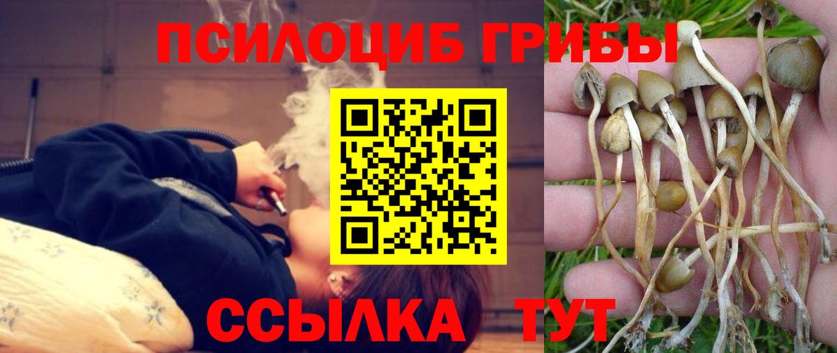 Галлюциногенные грибы ЛСД  Вход с VPN  Туапсе 
